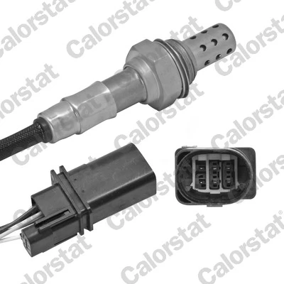 Oxygen Sensor